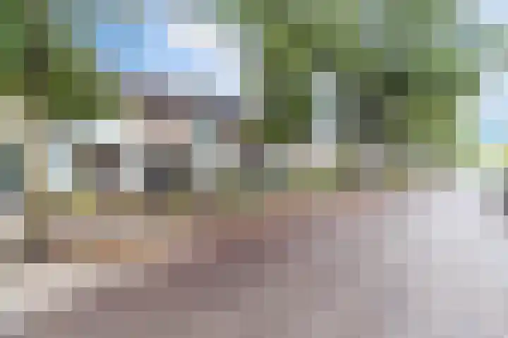 Hillenaarlaan 5 Wassenaar thumbnail 23