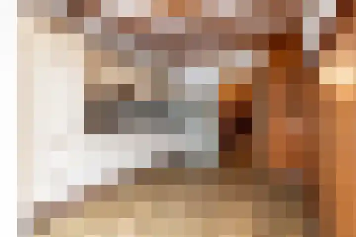 Hillenaarlaan 5 Wassenaar thumbnail 7