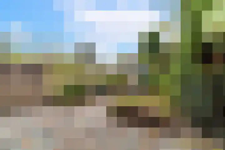 Hillenaarlaan 5 Wassenaar thumbnail 9