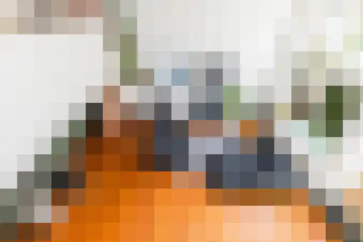 Hilleniussingel 25 Rotterdam thumbnail 10