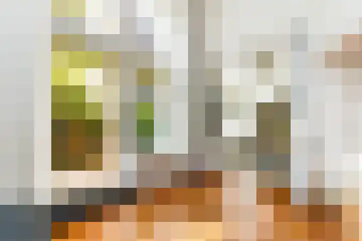 Hilleniussingel 25 Rotterdam thumbnail 11