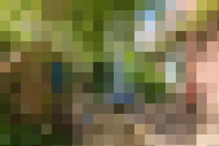 Hilleniussingel 25 Rotterdam thumbnail 12