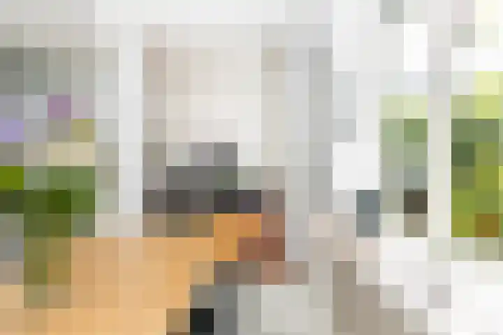 Hilleniussingel 25 Rotterdam thumbnail 14