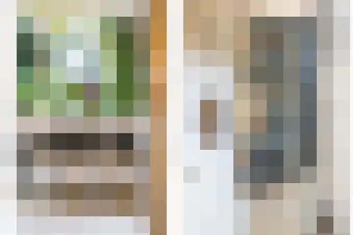 Hilleniussingel 25 Rotterdam thumbnail 15