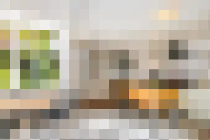 Hilleniussingel 25 Rotterdam thumbnail 16