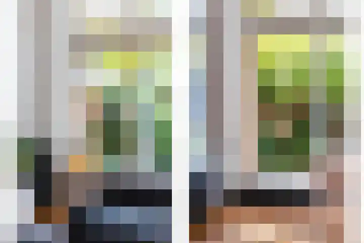 Hilleniussingel 25 Rotterdam thumbnail 17