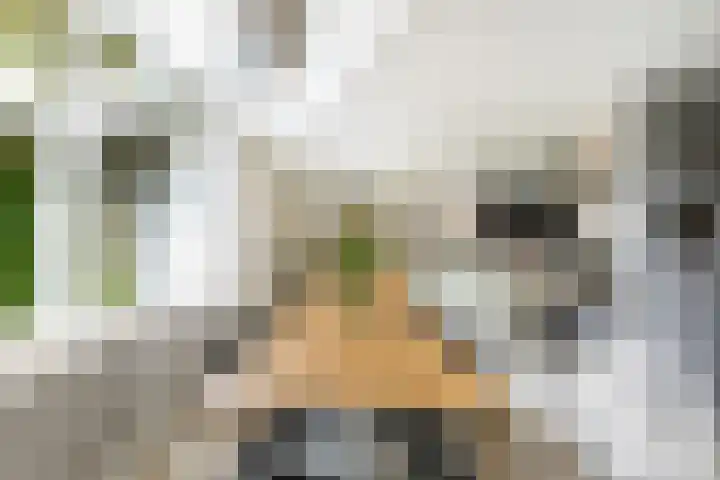 Hilleniussingel 25 Rotterdam thumbnail 19