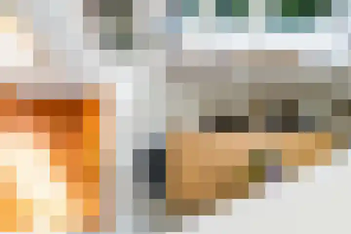 Hilleniussingel 25 Rotterdam thumbnail 20