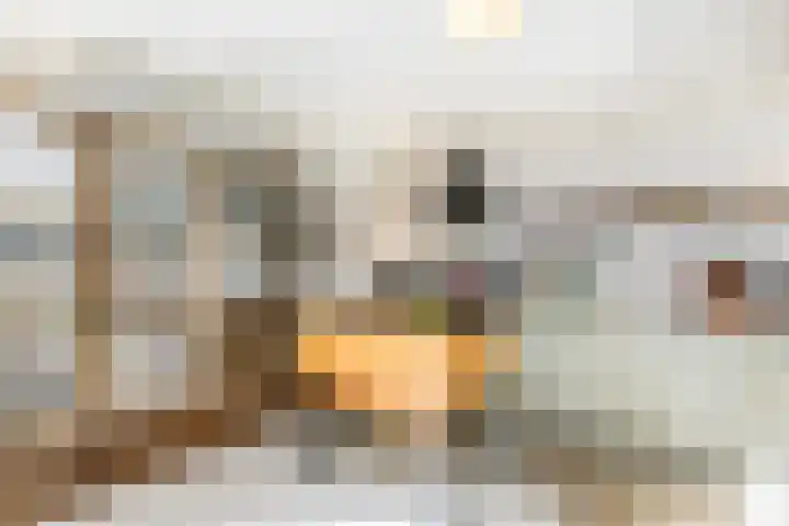 Hilleniussingel 25 Rotterdam thumbnail 22