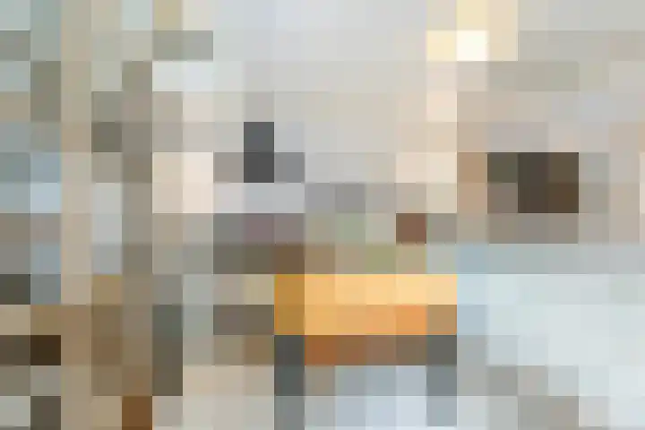 Hilleniussingel 25 Rotterdam thumbnail 23