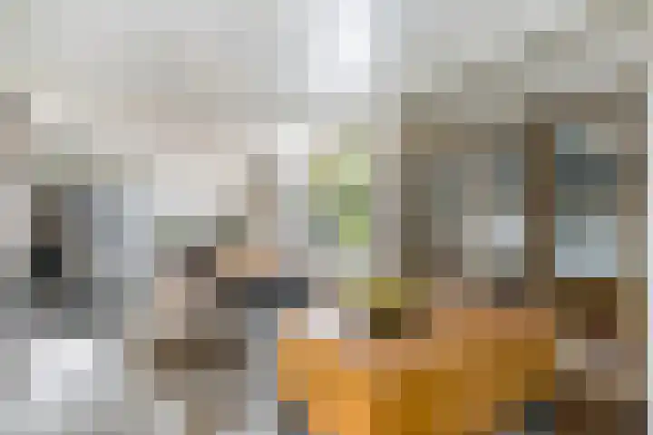 Hilleniussingel 25 Rotterdam thumbnail 25