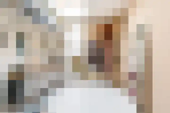 Hilleniussingel 25 Rotterdam thumbnail 30