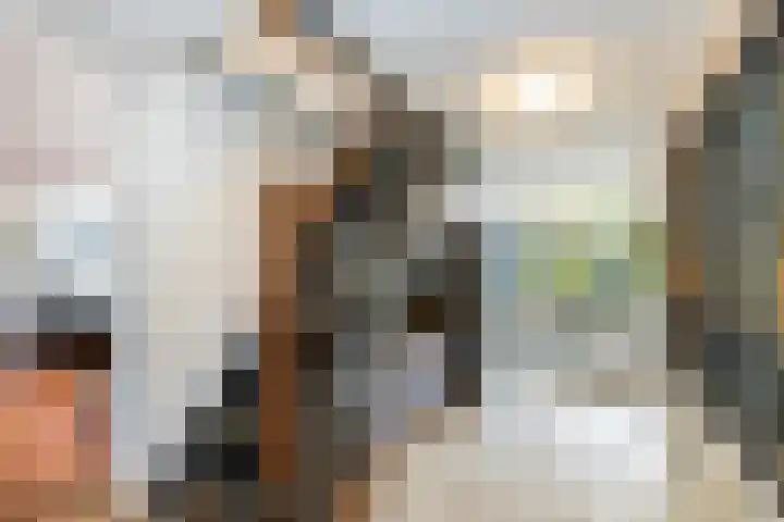 Hilleniussingel 25 Rotterdam thumbnail 34