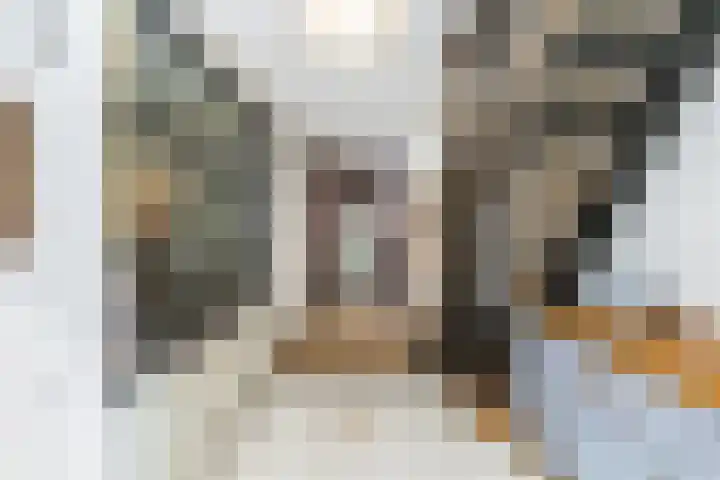 Hilleniussingel 25 Rotterdam thumbnail 35