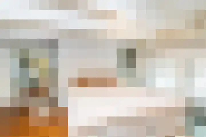 Hilleniussingel 25 Rotterdam thumbnail 37