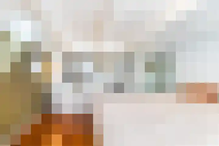 Hilleniussingel 25 Rotterdam thumbnail 38