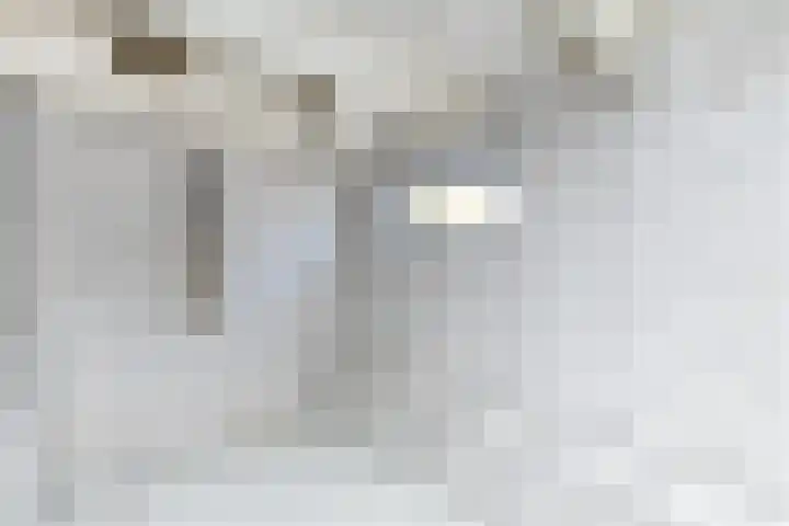Hilleniussingel 25 Rotterdam thumbnail 39