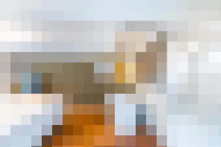 Hilleniussingel 25 Rotterdam thumbnail 4