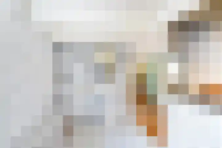 Hilleniussingel 25 Rotterdam thumbnail 42