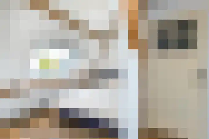 Hilleniussingel 25 Rotterdam thumbnail 45