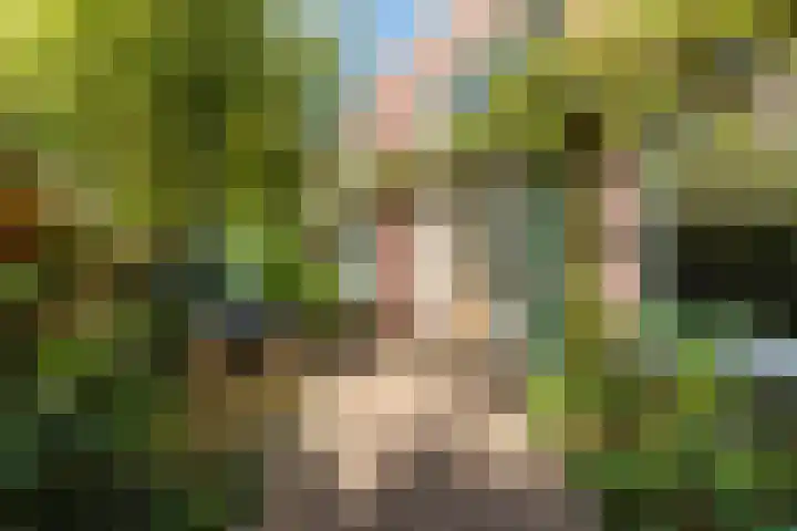 Hilleniussingel 25 Rotterdam thumbnail 5