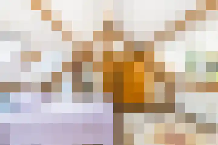 Hilleniussingel 25 Rotterdam thumbnail 50