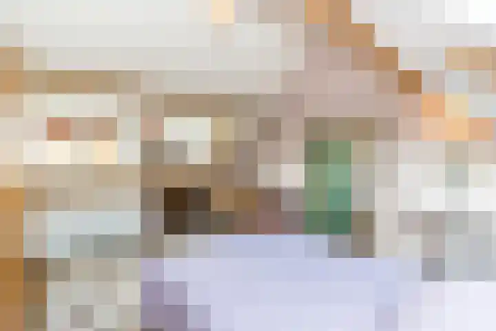 Hilleniussingel 25 Rotterdam thumbnail 52
