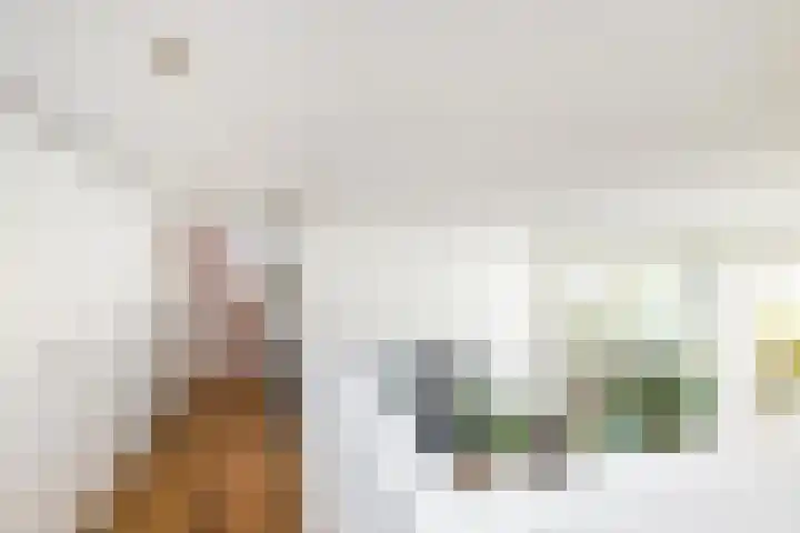 Hilleniussingel 25 Rotterdam thumbnail 59