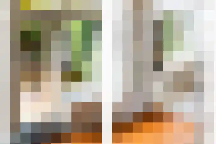 Hilleniussingel 25 Rotterdam thumbnail 6