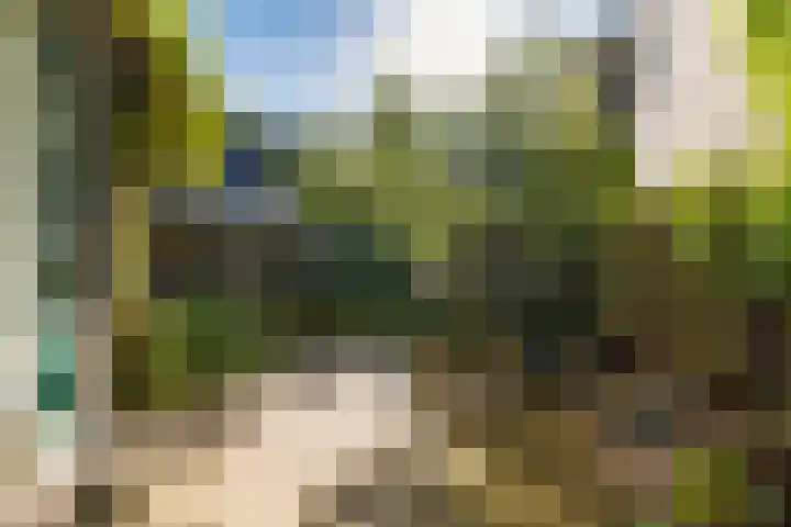 Hilleniussingel 25 Rotterdam thumbnail 62