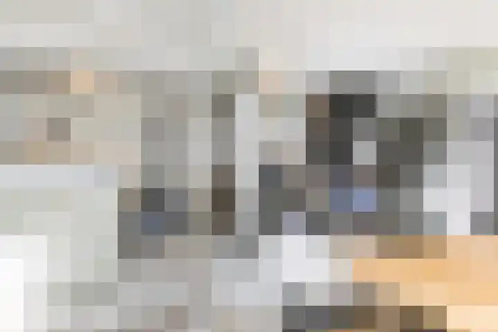 Hilleniussingel 25 Rotterdam thumbnail 65