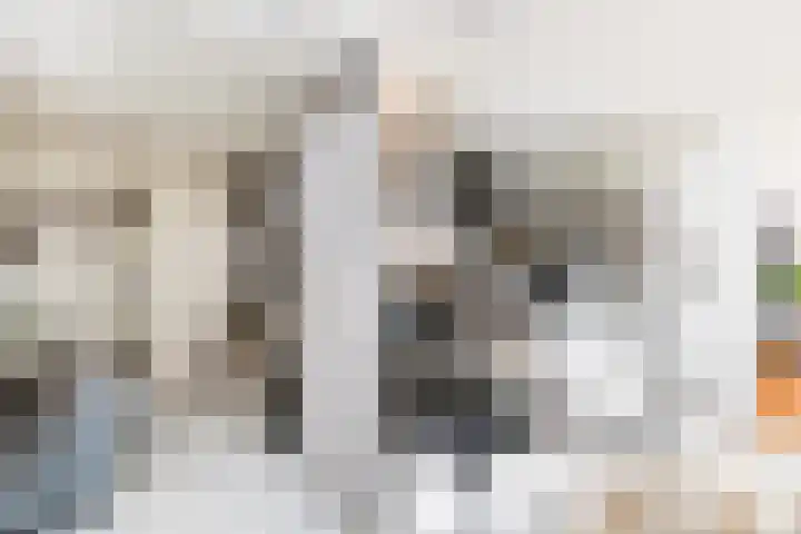 Hilleniussingel 25 Rotterdam thumbnail 66