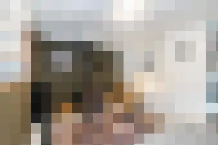 Hilleniussingel 25 Rotterdam thumbnail 67
