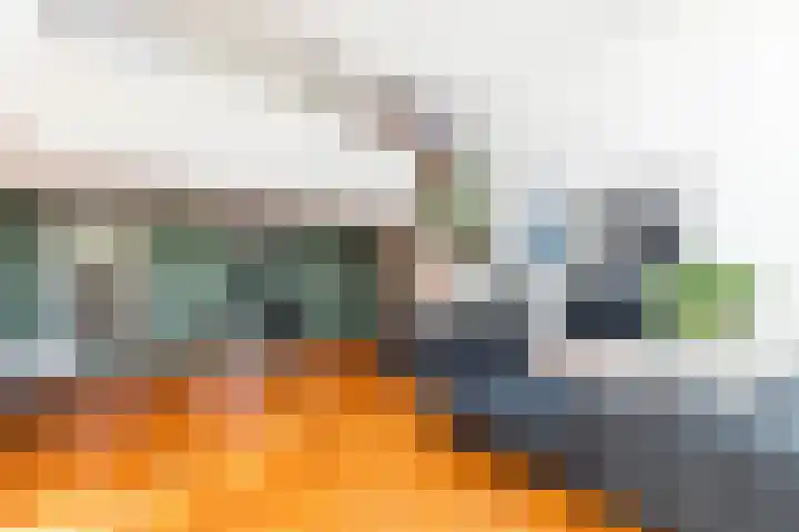 Hilleniussingel 25 Rotterdam thumbnail 7