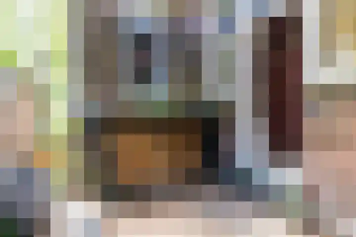 Hilleniussingel 25 Rotterdam thumbnail 71