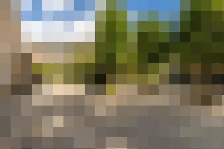 Hilleniussingel 25 Rotterdam thumbnail 73