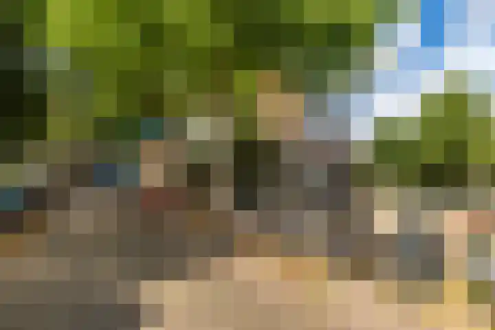 Hilleniussingel 25 Rotterdam thumbnail 74