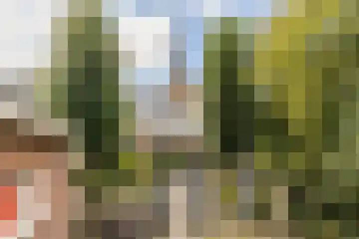 Hilleniussingel 25 Rotterdam thumbnail 76