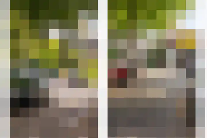 Hilleniussingel 25 Rotterdam thumbnail 77