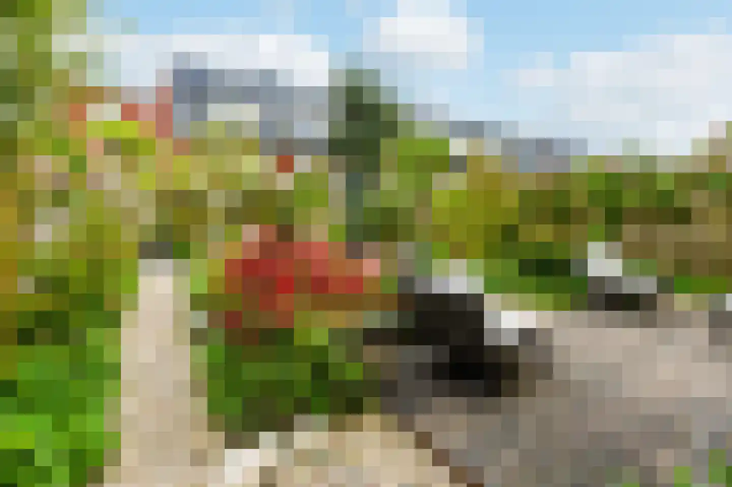 Hillenraad 1 Amstelveen thumbnail 9