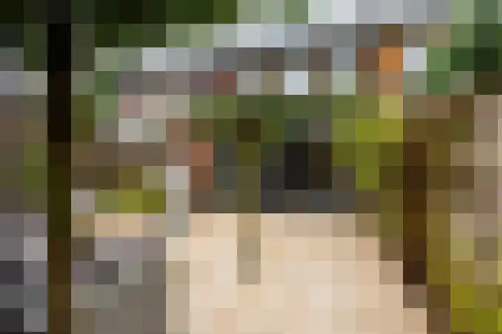 Hillenraad 20 Amstelveen thumbnail 12
