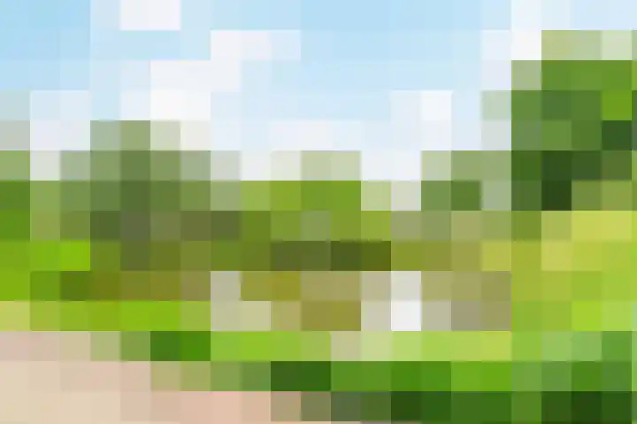 Hillenraad 20 Amstelveen thumbnail 38