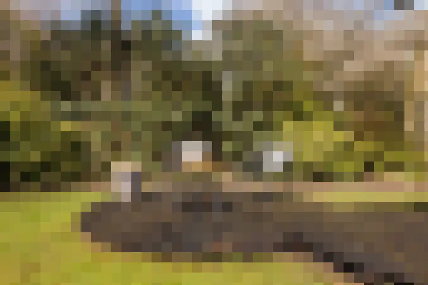 Hillenraad 6 Zwijndrecht thumbnail 27