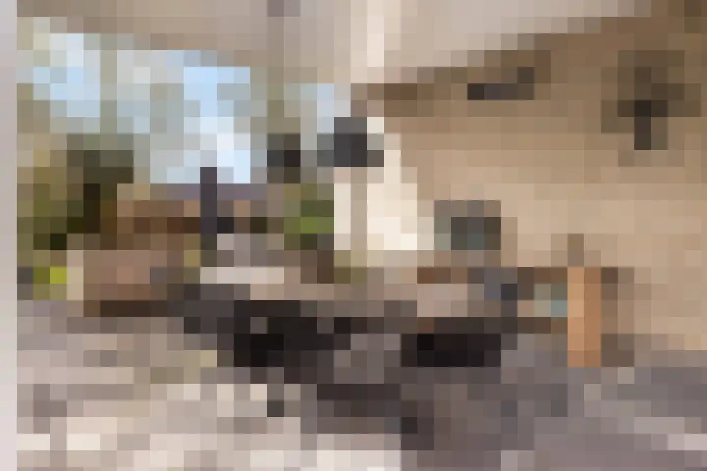Hillenraad 6 Zwijndrecht thumbnail 32