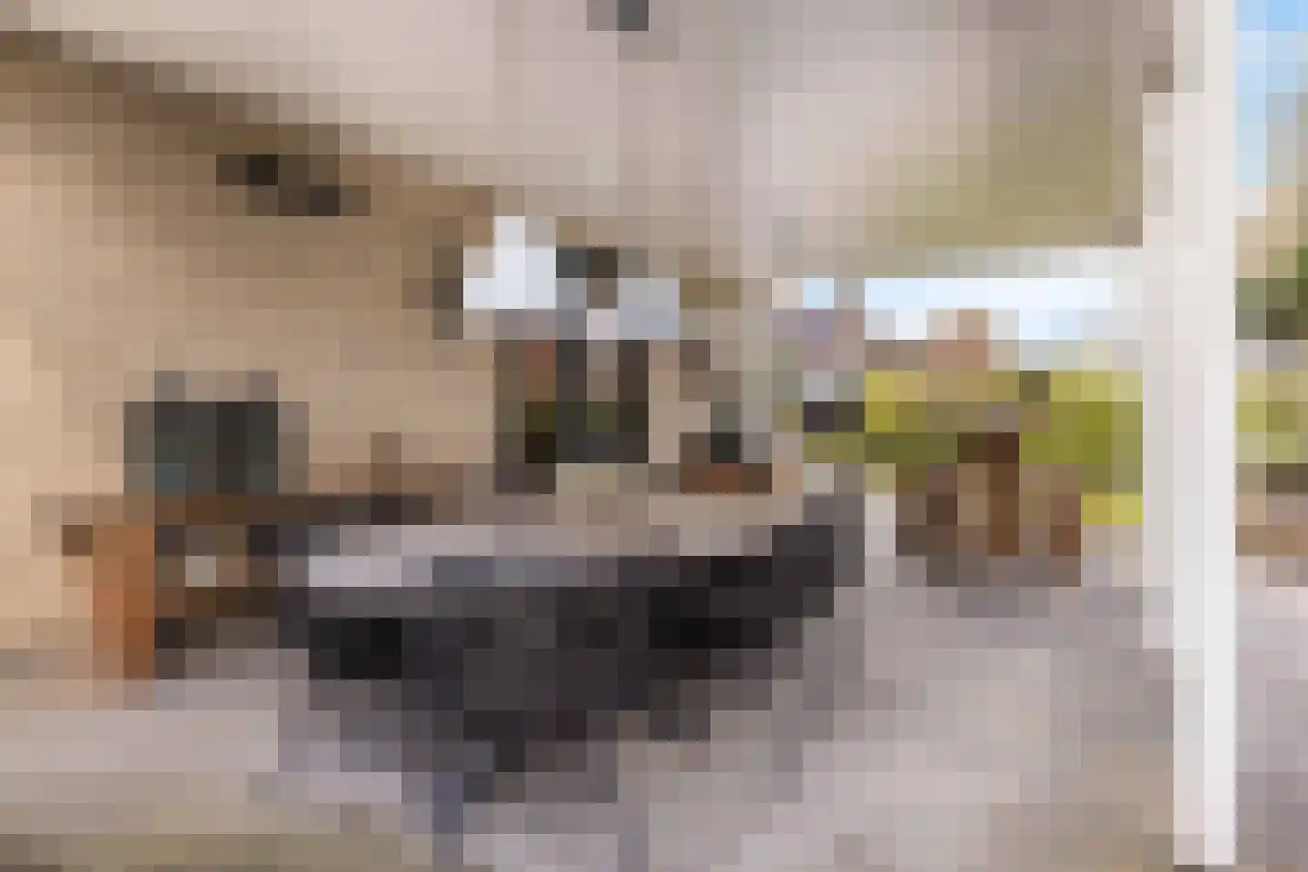 Hillenraad 6 Zwijndrecht thumbnail 33