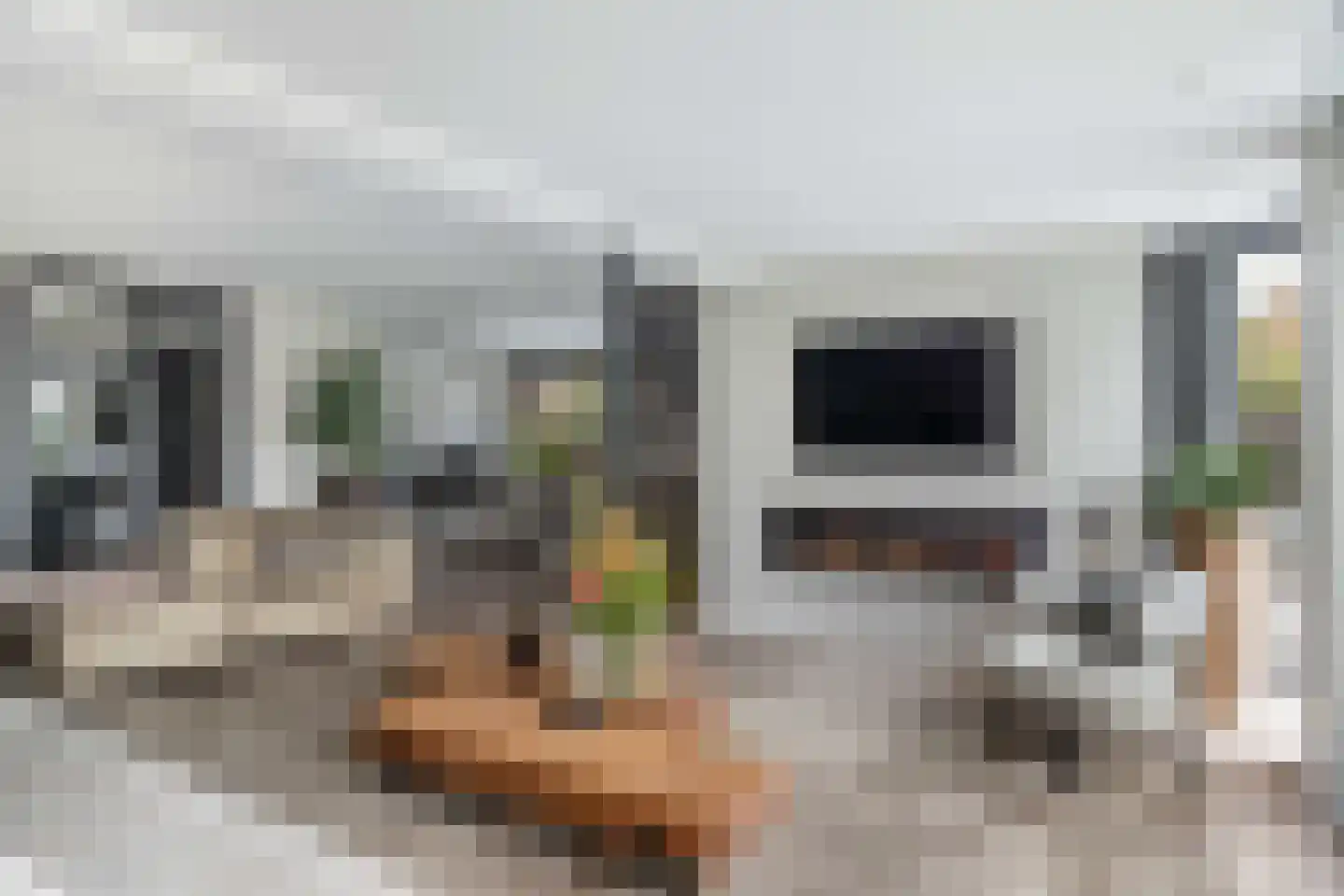 Hillenraad 6 Zwijndrecht thumbnail 34