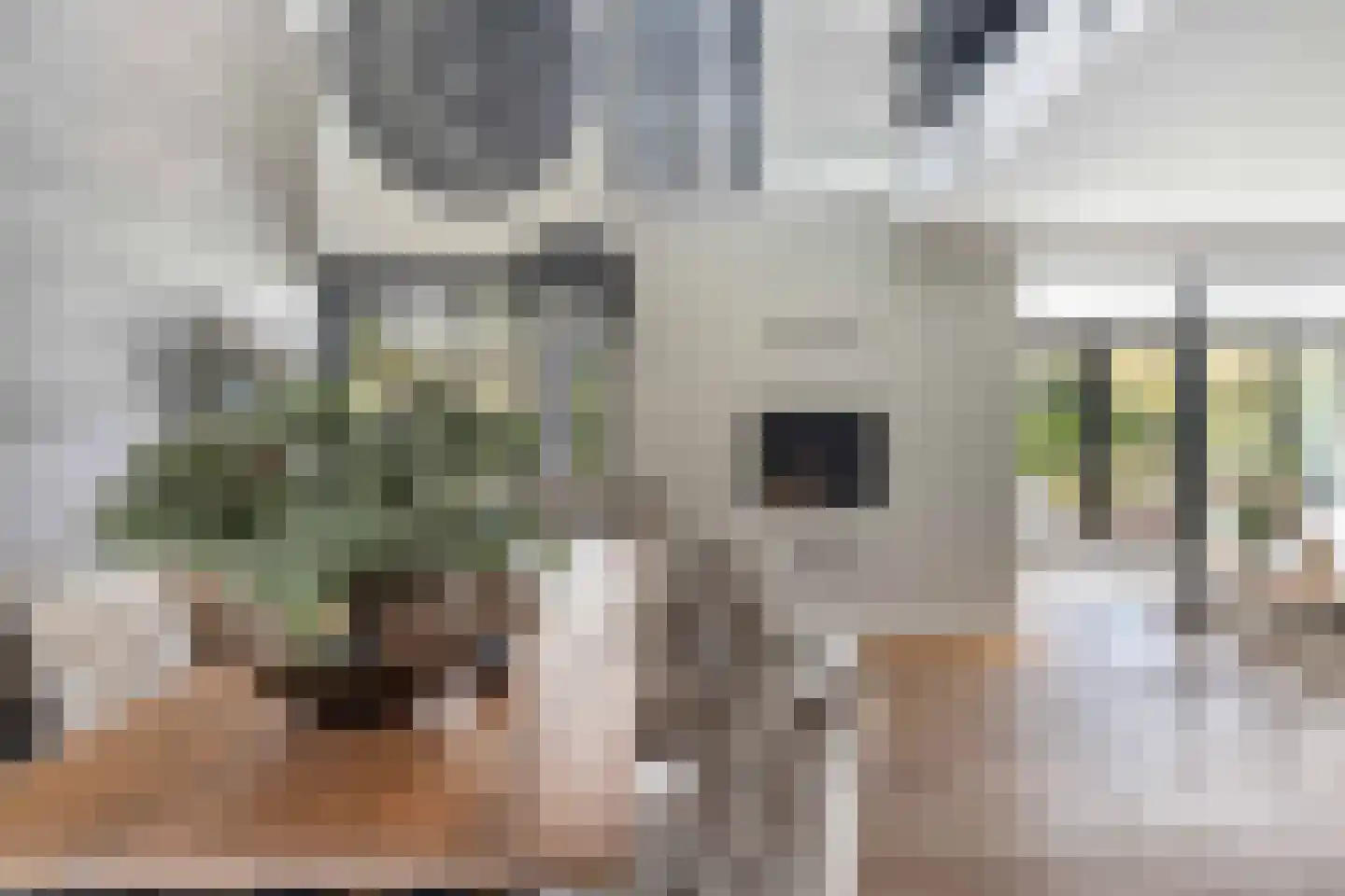 Hillenraad 6 Zwijndrecht thumbnail 39