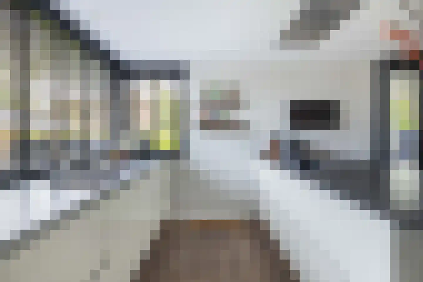 Hillenraad 6 Zwijndrecht thumbnail 47