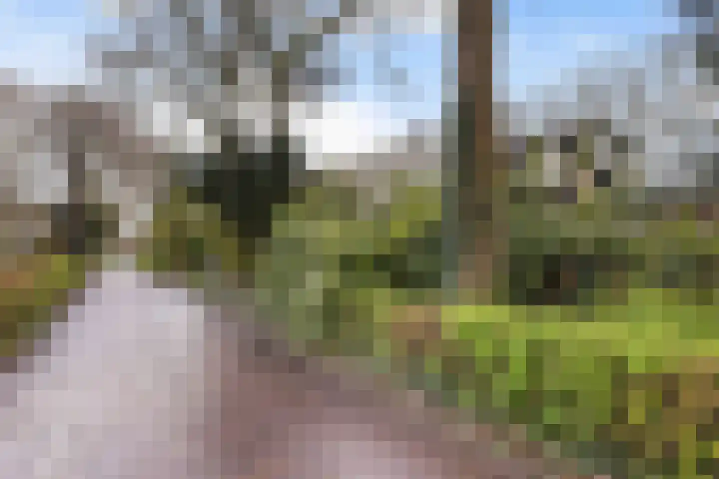 Hillenraad 6 Zwijndrecht thumbnail 7