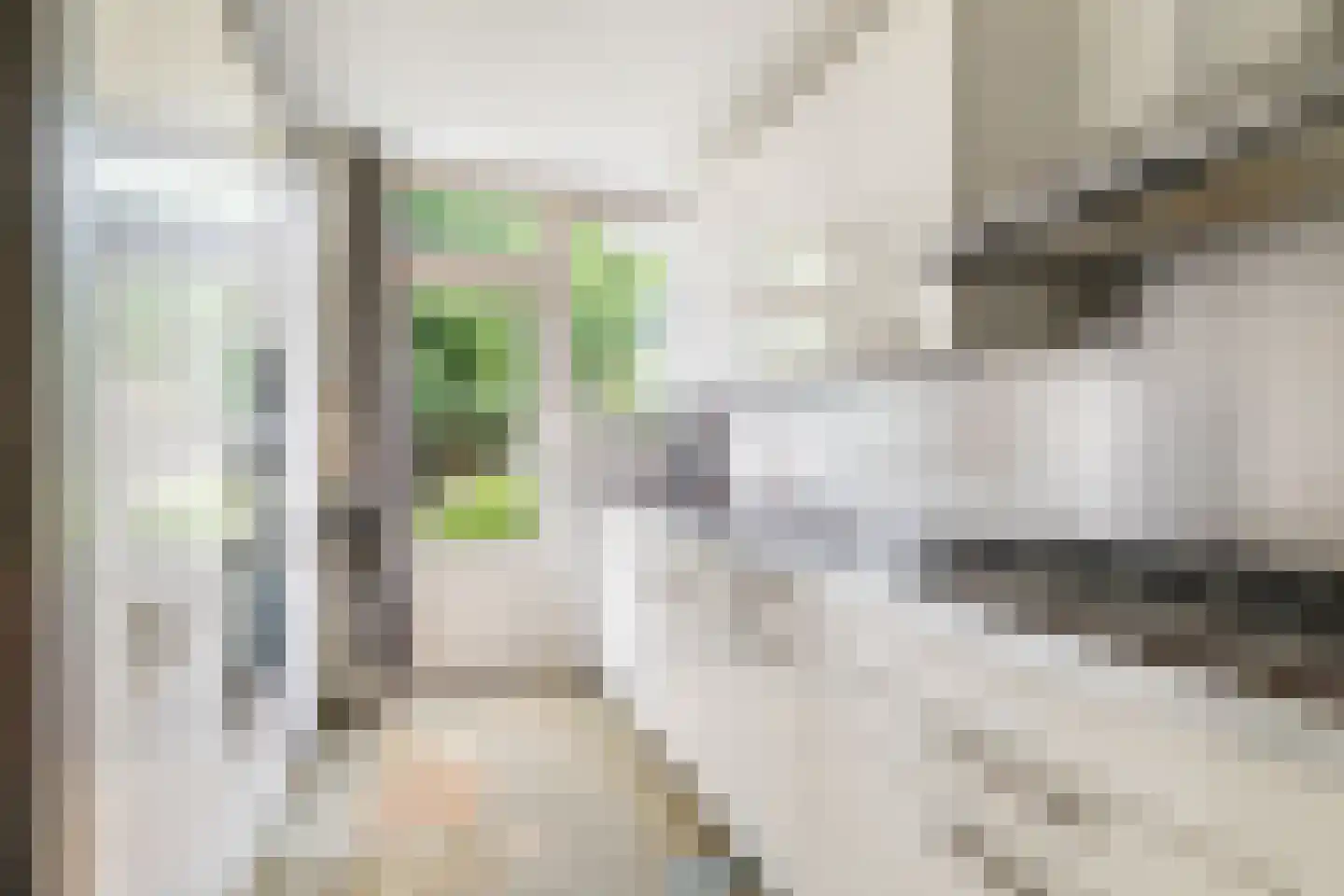 Hillenraadstraat 44 Breda thumbnail 15